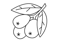 ���˹����P���DƬ