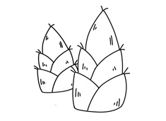 ��S���P���DƬ