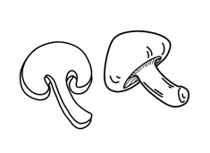 ��Ƭ��Ģ�����P���DƬ