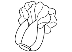 ��ײ˺��P���DƬ