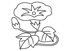 ���������P���DƬ