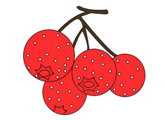 ɽ髺��P����ɫ�DƬ