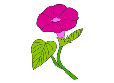 ��ţ�����P������ɫ�DƬ