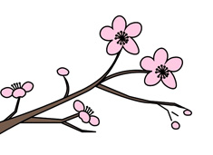 ÷��֦�~��(ji��n)�P���DƬ����ɫ