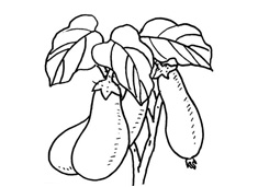 �L�����ϵ����Ӻ��P���DƬ