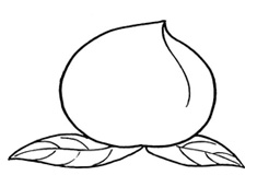 һֻ����Һ�(ji��n)�P���DƬ