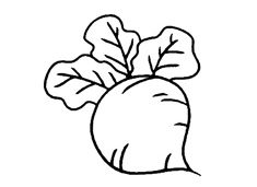 �ÿ����}�����P���DƬ