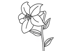 �ٺϻ����P���DƬ