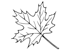 ��ͩ���~���P���DƬ