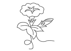 ���Ȼ����P���DƬ