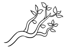 ��(ji��n)�κî��Ę�֦��(ji��n)�P���DƬ����ɫ