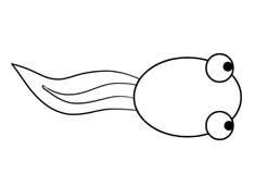 С��򽺆(ji��n)�P��(hu��)�DƬ����ɫ