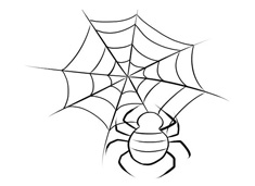 ���κî���֩��W֩�뺆�P���DƬ