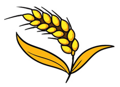 ���S�����뺆(ji��n)�P���DƬ