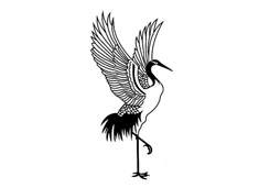 ���_���ĵ���Q��(ji��n)�P���DƬ