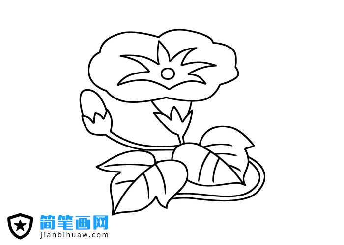 ��ţ�����P���DƬ