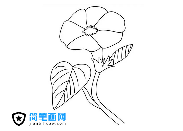 ���������P������ɫ�DƬ