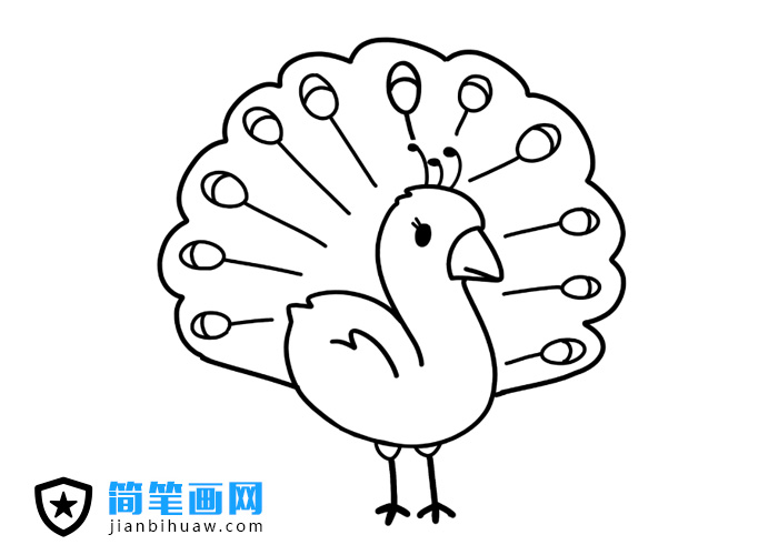 ��ȸ�_�����P���DƬ