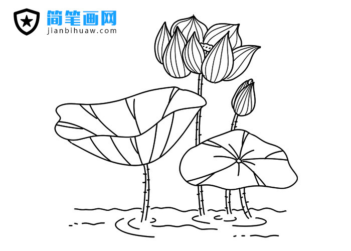 �ɻ����P���DƬ