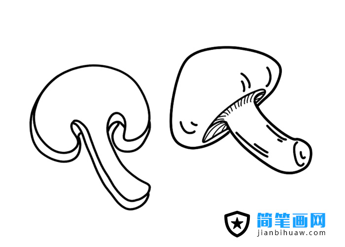 ��Ƭ��Ģ�����P���DƬ