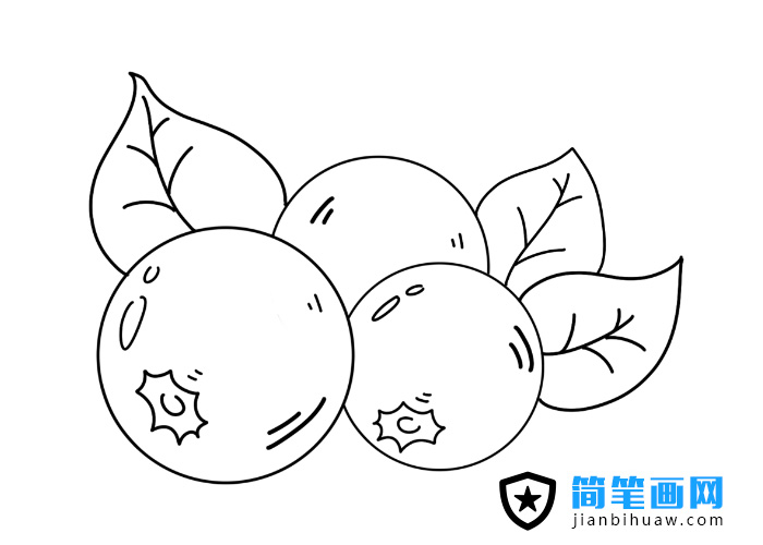 �{ݮ���P���DƬ����ɫ