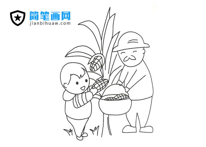 小朋友和爺爺在田里掰玉米的簡(jiǎn)筆畫圖片