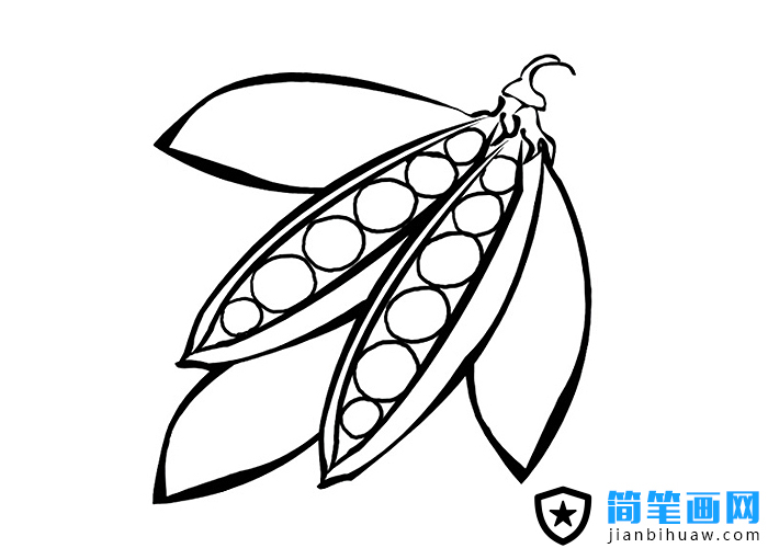 ���v��(ji��n)�P���DƬ