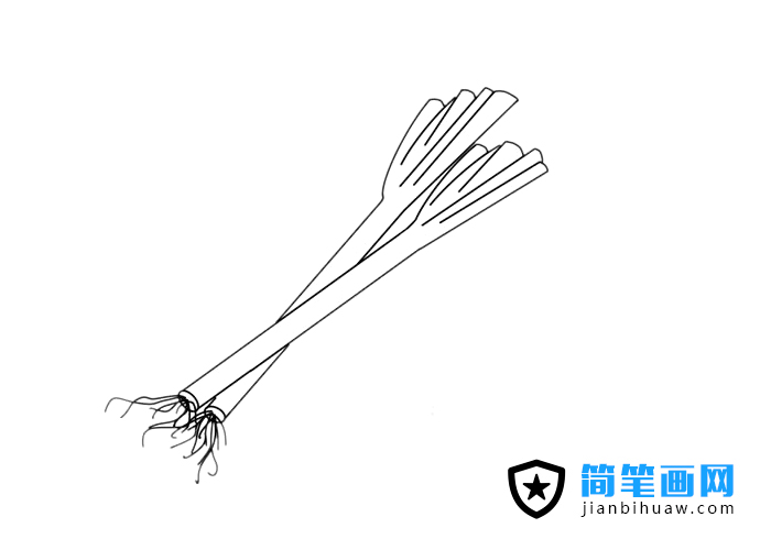 ���[���P���DƬ����ɫ