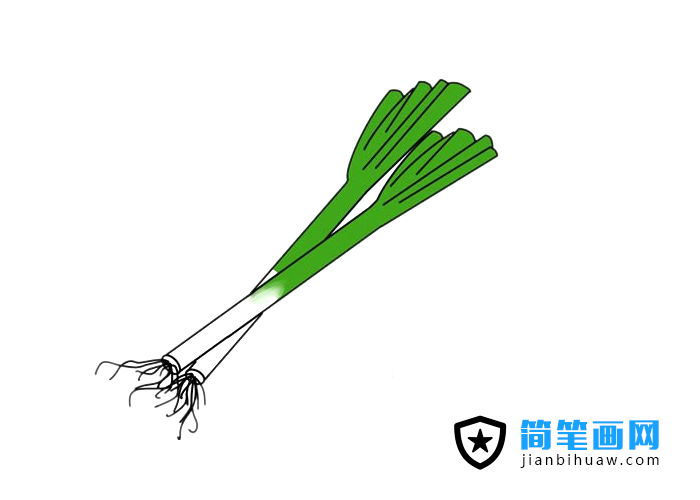 ���[���P���DƬ����ɫ