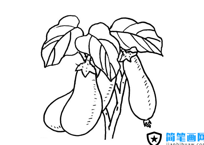 �L�����ϵ����Ӻ��P���DƬ