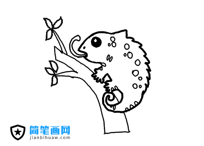 ׃ɫ�����P���DƬ