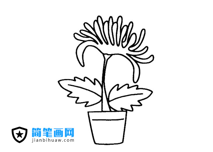 һ��ջ��ĺ��P���DƬ