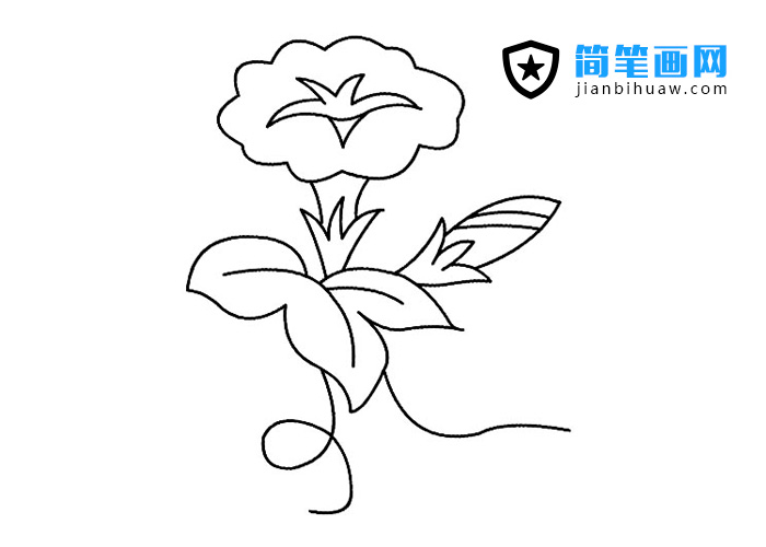 ���Ȼ����P���DƬ