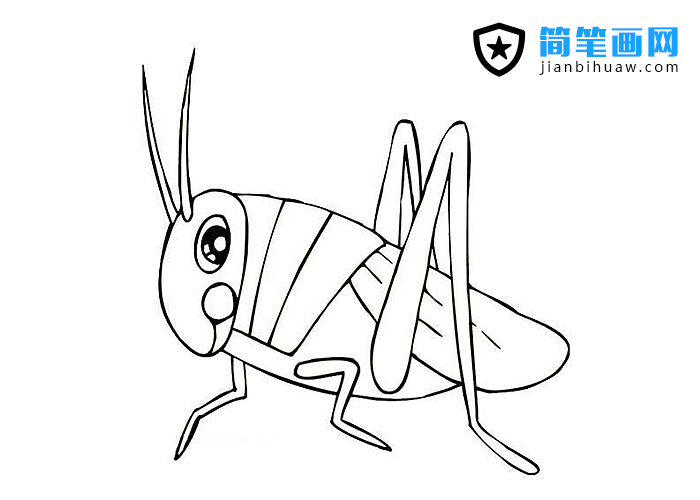 ��ͯ�X�X���P���DƬ