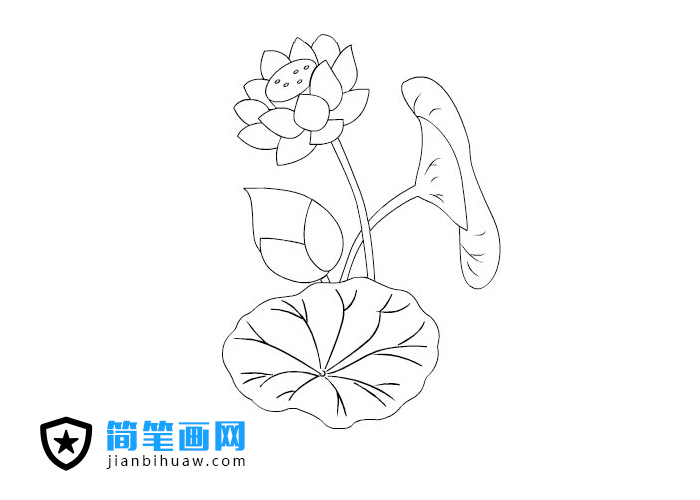 �ɻ����P���DƬ����ɫ