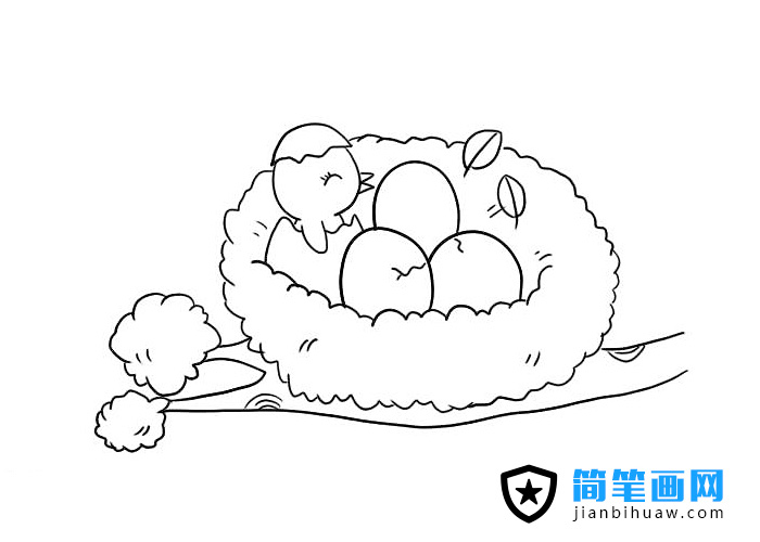 �B�C���P���DƬ����ɫ