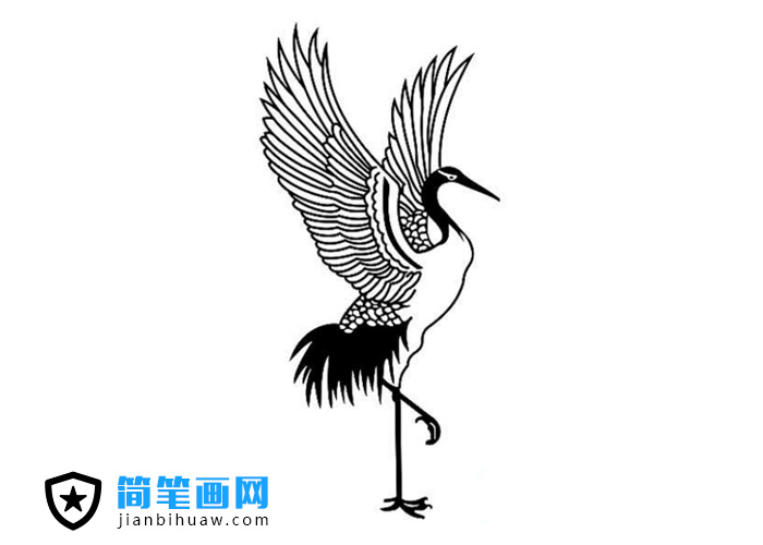 ���_���ĵ���Q���P���DƬ