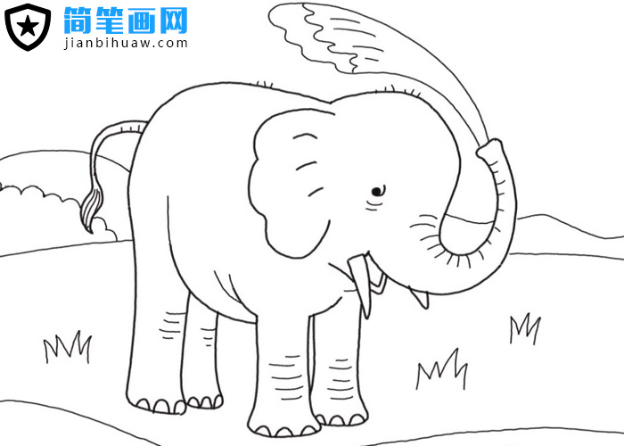 �����ñ�����ˮϴ��ĺ��P��